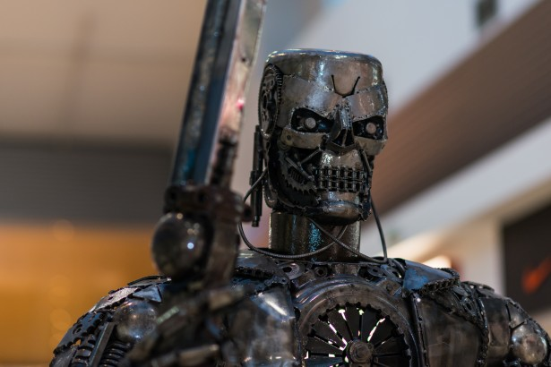 The Terminator as a skeleton