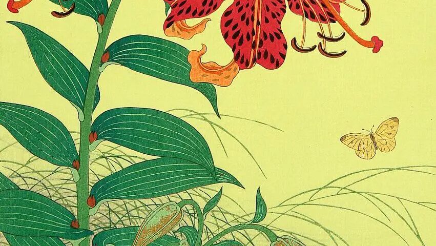 butterfly symbolism in japanese mythology