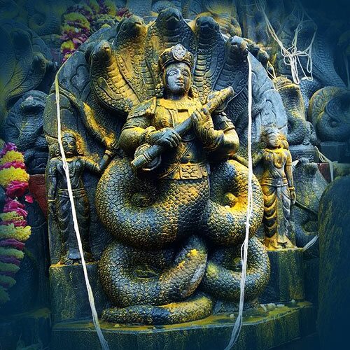 Nagaraja god as a five-headed snake