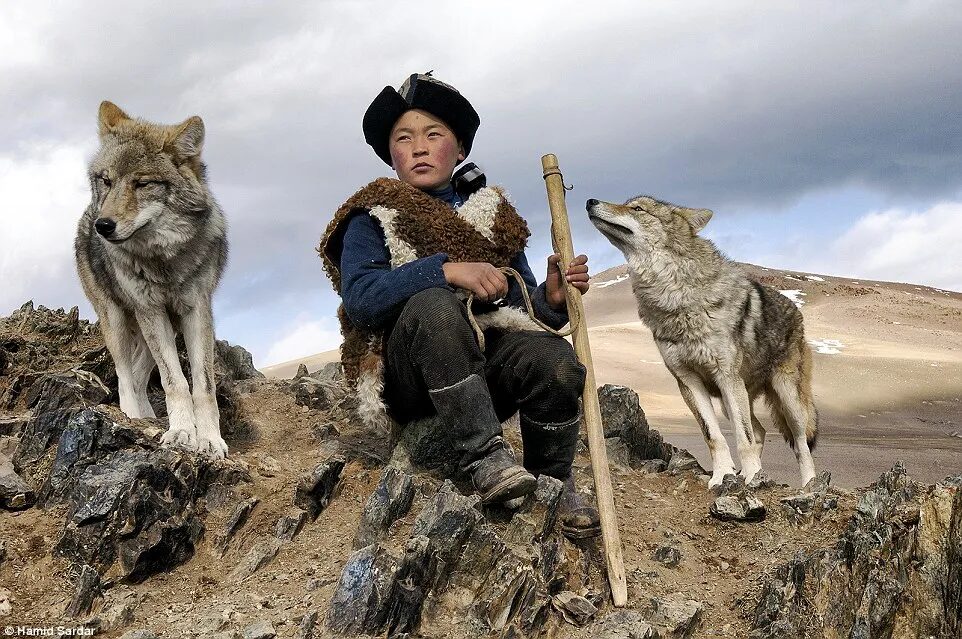 wolf symbolism in Mongolian cultures