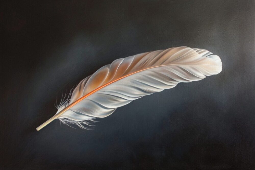 the feather as one of the peace symbols